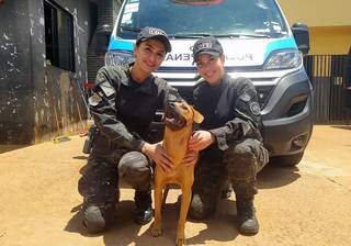 Vira-lata &ldquo;Covid&rdquo; chegou com pandemia para ser mascote na Agepen