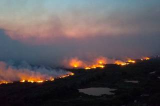 Senado sugere mais recursos e &#039;pr&aacute;ticas sustent&aacute;veis&#039; para o Pantanal