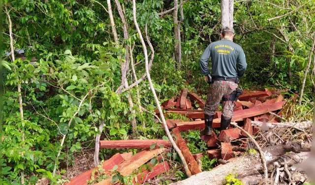 PMA conclui vistoria em fazenda que escravizava at&eacute; crian&ccedil;as