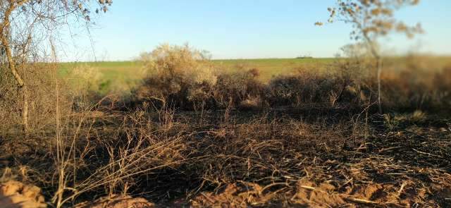 Empresa sucroenerg&eacute;tica &eacute; multada em R$ 660 mil por inc&ecirc;ndio em canavial