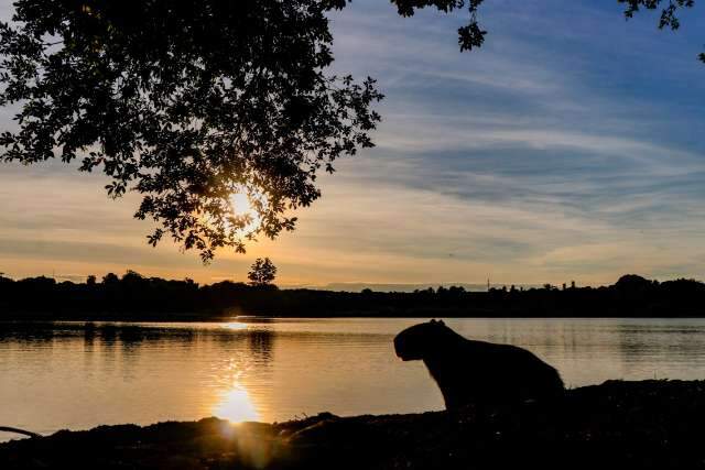 Quarta-feira será de calor de 40°C e com pancadas de chuva em MS, segundo Inmet