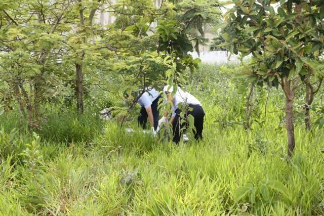 Crian&ccedil;as saem para procurar guavira e encontram corpo em terreno no Noroeste