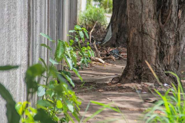Cad&ecirc; a cal&ccedil;ada que estava aqui? Moradores se arriscam entre buracos e mato