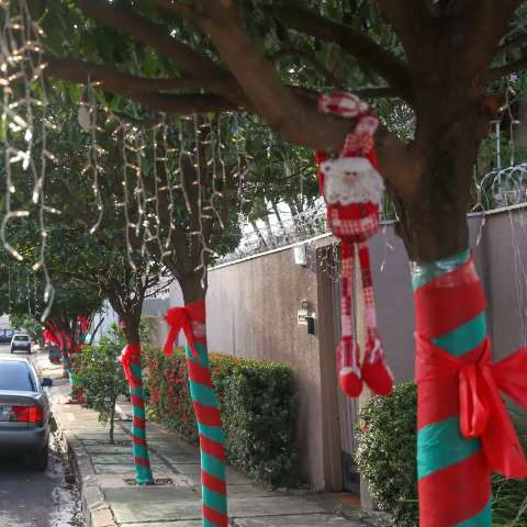 Cansados da tristeza de 2020, vizinhos decoram rua inteira