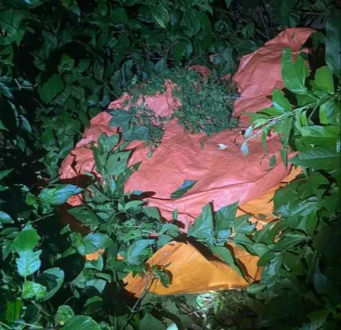 Pol&iacute;cia prende 4 funcion&aacute;rios por furtar gado de fazenda 