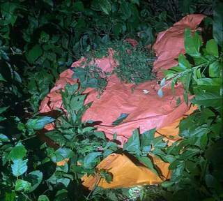 Pol&iacute;cia prende 4 funcion&aacute;rios por furtar gado de fazenda 