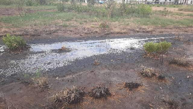 F&aacute;brica &eacute; multada em R$ 22 mil por poluir solo com rejeitos de peixes