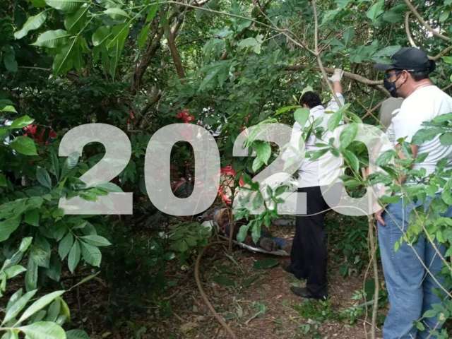 Nem pandemia segura matadores e ano foi mais uma vez sangrento na fronteira