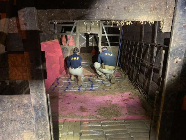 Carga de 1,2 t de maconha &eacute; encontrada sob cascas de arroz e esterco em caminh&atilde;o