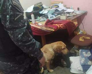 Dupla que usava lava-jato com entreposto do tr&aacute;fico, &eacute; presa com 149 Kg de droga