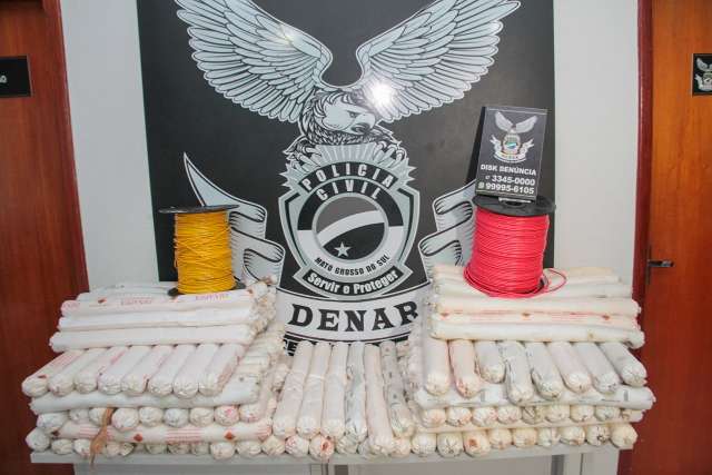 Denar fecha 2020 com apreens&otilde;es de drogas somando quase 10 toneladas