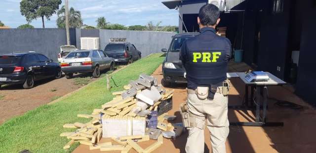  Pol&iacute;cia apreende mais de 250 quilos de maconha e skunk na BR-163