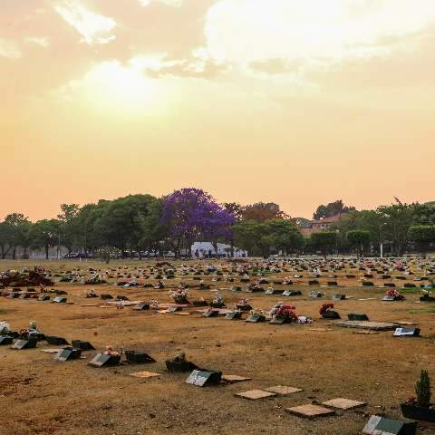 Campo Grande encerra 2020 com quase 300 mortes por covid-19 s&oacute; em dezembro