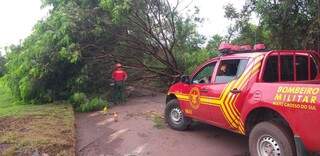 “Ciclone” derruba árvores na BR-262 e obstrui trânsito por mais de 10h “Ciclone” derruba árvores na BR-262 e obstrui trânsito por mais de 10h
