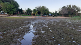 Praia de balne&aacute;rio municipal quase seca com baixa do n&iacute;vel do Rio Sucuri&uacute;