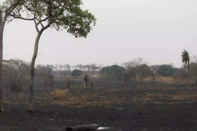 Governo vai investir R$ 56,6 milh&otilde;es em plano contra inc&ecirc;ndios florestais 