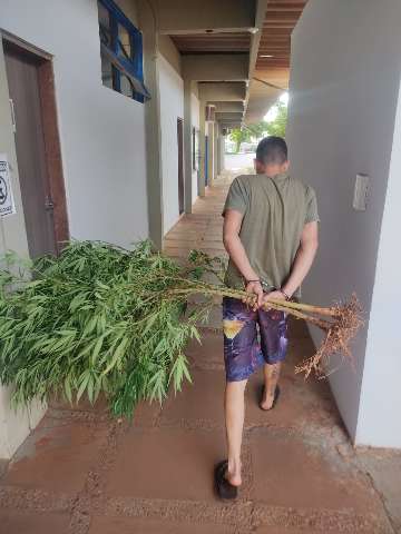 Preso pela PM, &quot;disciplina&quot; do PCC tamb&eacute;m plantava maconha no quintal de casa