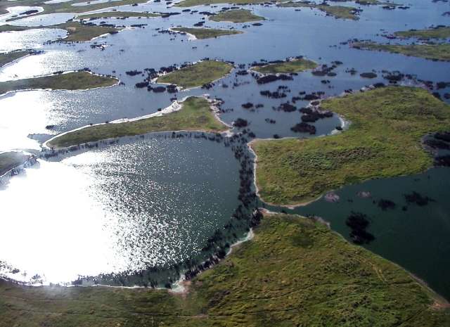 Ao longo dos anos, temperaturas podem subir 5&deg;C em MS e ainda mais no Pantanal