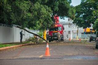 Corpo de Bombeiros interditou trecho de rua para fazer poda de galho de árvore. (Foto: Marcos Maluf)