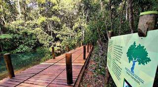 O Parque, destinado a preservação, possui 135, 2573 hectares (Foto: Divulgação/Governo do MS)