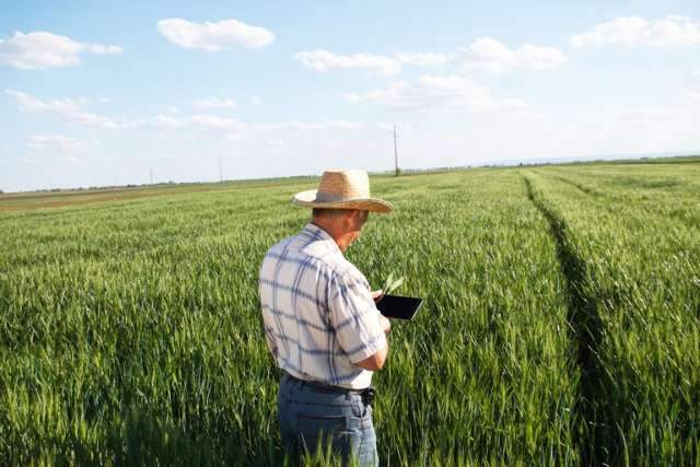 Minist&eacute;rio da Agricultura digitaliza mais de 80 servi&ccedil;os