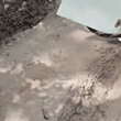 Com fama de perigosa, serpente de dois metros &eacute; capturada