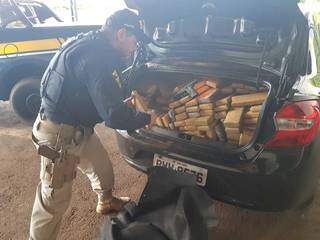 Policial vistoria porta-malas de carro com pistola e tabletes de maconha (Foto: Divulgação)