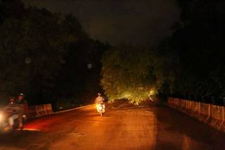 Motociclista desviando de árvore que está ameaçando cair na Rua Lógica. (Foto: Paulo Francis) 