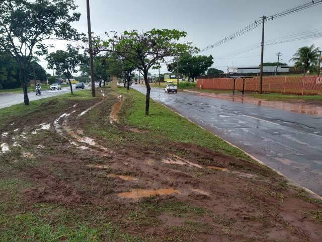 Canteiro vira op&ccedil;&atilde;o para quem se acostumou com alagamento na Gunter Hans