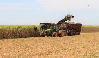 Máquina faz colheita de cana-de-açúcar em plantação de Mato Grosso do Sul. (Foto: Divulgação)