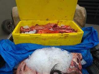 Tr&ecirc;s s&atilde;o presos com armas, uma de uso restrito, 300 kg de carne e muni&ccedil;&otilde;es