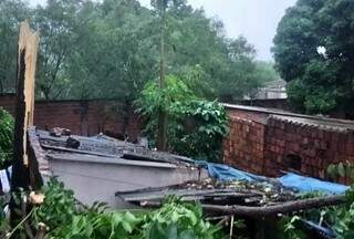 Queda de ávore destruiu telhado de casa onde morava casal de idosos. (Foto: Corpo de Bombeiros)