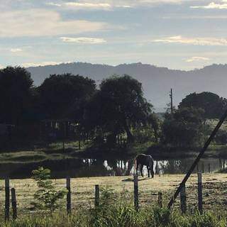 Cara de fazenda mas com tamanho de sítio (Foto: Reprodução/Instagram)