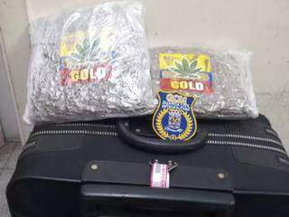 Adolescente &eacute; apreendida ao tentar embarcar para o RJ com maconha &quot;gold&quot; em mala