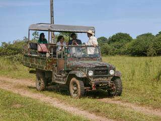 O passeio de safari é um dos atrativos turísticos no Pantanal de Mato Grosso do Sul, atividade oferecida na maioria das fazendas (Foto: Visit Pantanal/Divulgação)