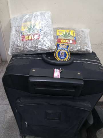 Adolescente &eacute; apreendida ao tentar embarcar para o RJ com maconha &quot;gold&quot; em mala