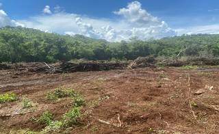 Parte da área desmatada em fazenda de Ponta Porã. (Foto: Divulgação/PMA)