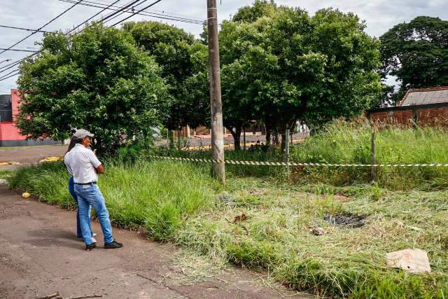 Ap&oacute;s ataque de abelhas, moradores relatam rotina de medo na vila Jacy  