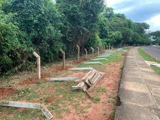 Postes caídos ainda presos ao arame no entorno da reserva do Parque dos Poderes. (Foto: Direto das Ruas)