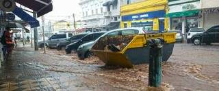 Com ventos de 61 Km/h, temporal volta a derrubar &aacute;rvores e alagar casas