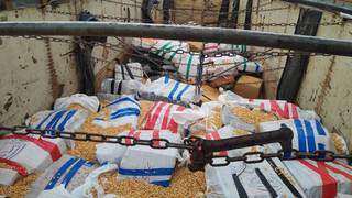 Fardos de maconha encontrados escondidos em carga de milho (Foto: Adilson Domingos)