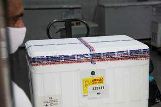 2º remessa de vacinas enviadas pelo governo federal a Mato Grosso do Sul (Foto: Marcos Maluf)