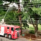 Bombeiros usam jato para resgatar gato em árvore e revoltam moradores