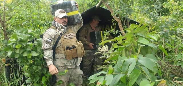 Ag&ecirc;ncia antidrogas destr&oacute;i mais 9,5 toneladas de maconha na fronteira