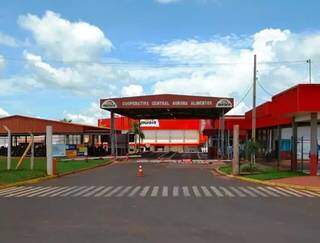 MPT vai investigar acidente com vazamento de am&ocirc;nia em frigor&iacute;fico