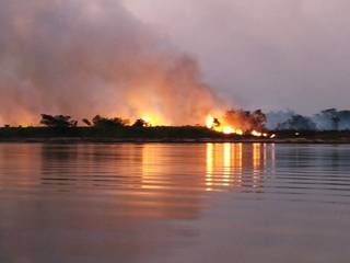 Fogo no Pantanal queimou mais de quatro milhões de hectares em 2020. (Foto: Natalina Mendes)