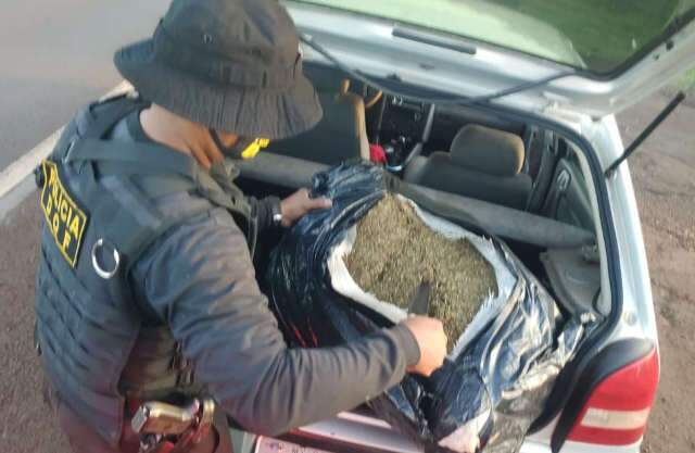 Trio &eacute; preso com &quot;supermaconha&quot; que saiu de MS com destino ao MT 