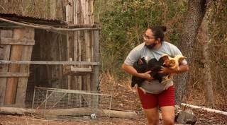 Keli salva galinhas de incêndio em uma fazenda do Pantanal. (Foto: Sílvio de Andrade)