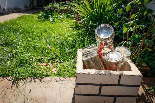 Suspeitas de dengue na Capital caem 96% em janeiro chuvoso