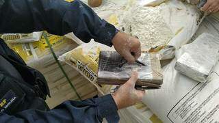 Coca&iacute;na escondida em sacos de farinha de trigo pesa 501 quilos